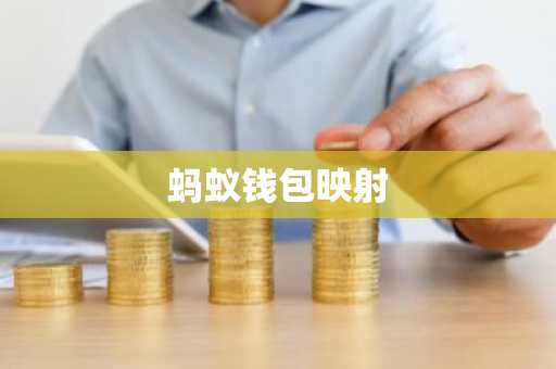 蚂蚁钱包映射