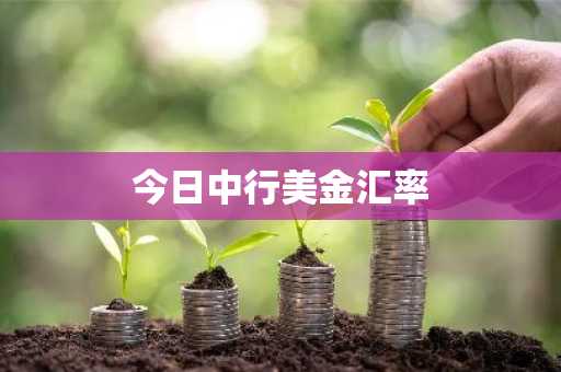 今日中行美金汇率