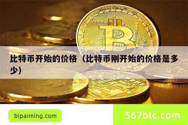 比特币开始的价格（比特币刚开始的价格是多少）