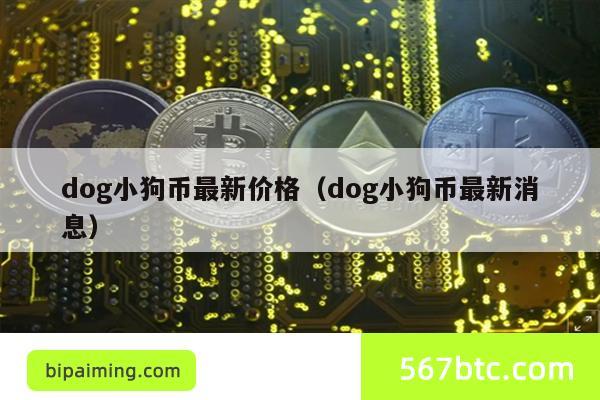 dog小狗币最新价格（dog小狗币最新消息）