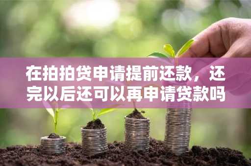 在拍拍贷申请提前还款，还完以后还可以再申请贷款吗？