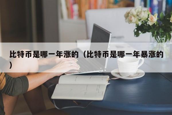 比特币是哪一年涨的（比特币是哪一年暴涨的）
