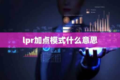 lpr加点模式什么意思