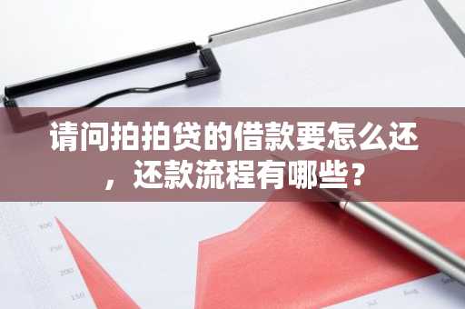 请问拍拍贷的借款要怎么还，还款流程有哪些？