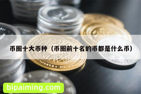 币圈十大币种（币圈前十名的币都是什么币）