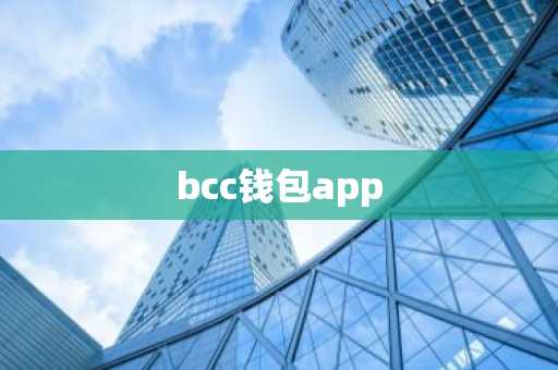 bcc钱包app
