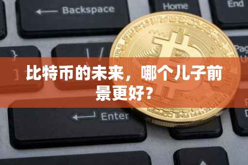 比特币的未来，哪个儿子前景更好？