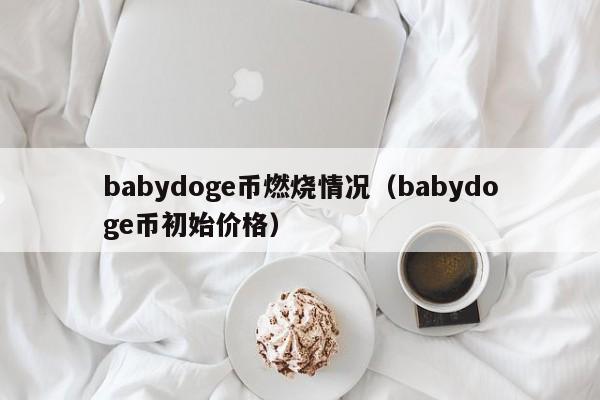 babydoge币燃烧情况（babydoge币初始价格）