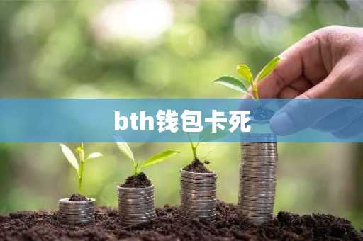 bth钱包卡死