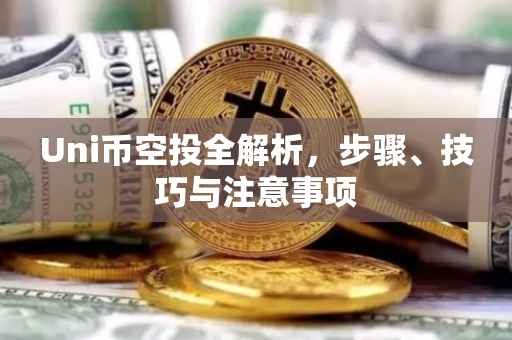 Uni币空投全解析，步骤、技巧与注意事项