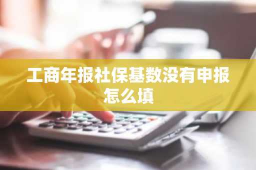工商年报社保基数没有申报怎么填