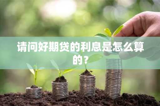 请问好期贷的利息是怎么算的？