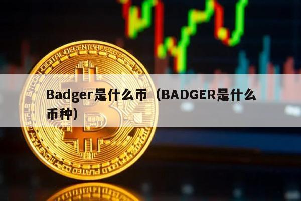 Badger是什么币（BADGER是什么币种）