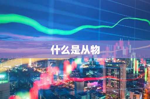 什么是从物