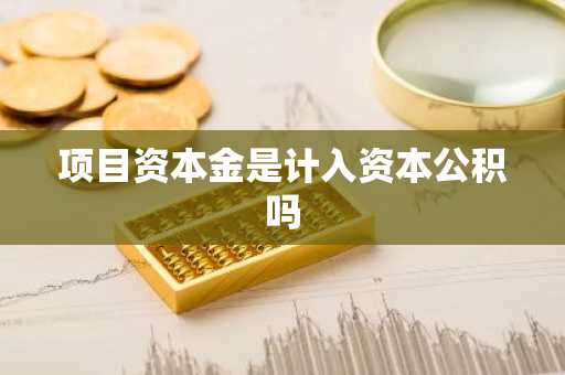 项目资本金是计入资本公积吗