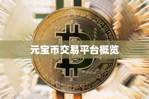 元宝币交易平台概览