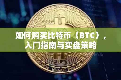 如何购买比特币（BTC），入门指南与买盘策略