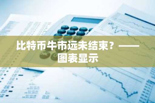 比特币牛市远未结束？——图表显示