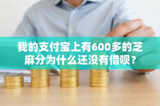 我的支付宝上有600多的芝麻分为什么还没有借呗？