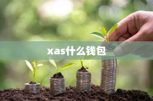 xas什么钱包