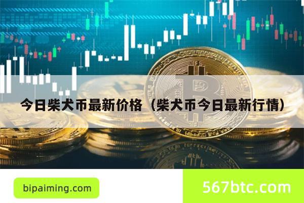 今日柴犬币最新价格（柴犬币今日最新行情）