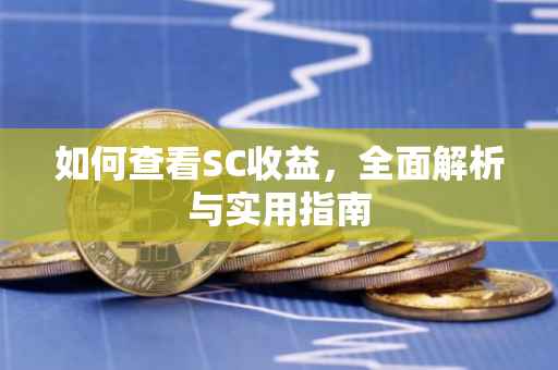 如何查看SC收益，全面解析与实用指南