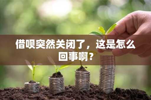 借呗突然关闭了，这是怎么回事啊？