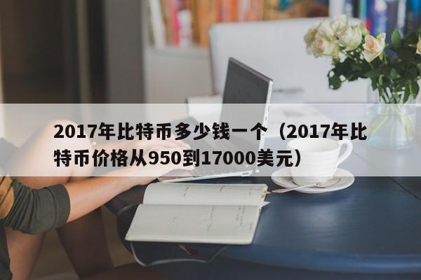 2017年比特币多少钱一个（2017年比特币价格从950到17000美元）