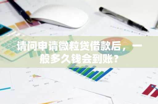 请问申请微粒贷借款后，一般多久钱会到账？