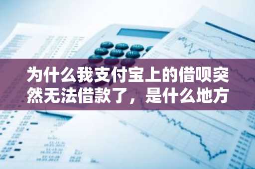 为什么我支付宝上的借呗突然无法借款了，是什么地方有问题吗？