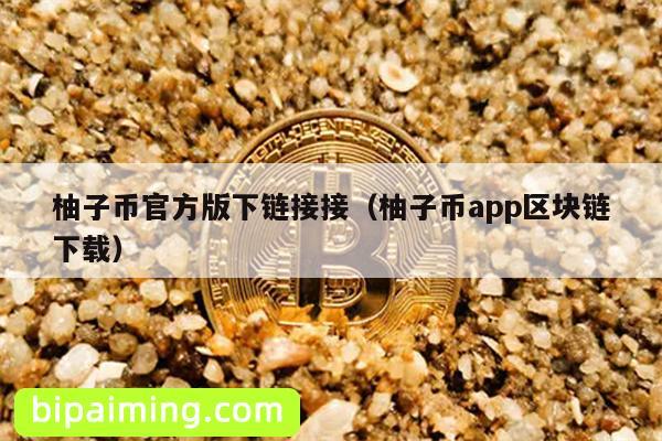 柚子币官方版下链接接（柚子币app区块链下载）