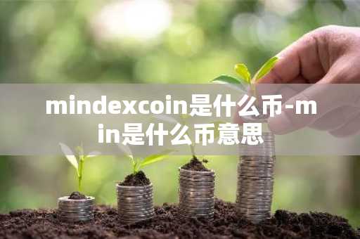 mindexcoin是什么币-min是什么币意思