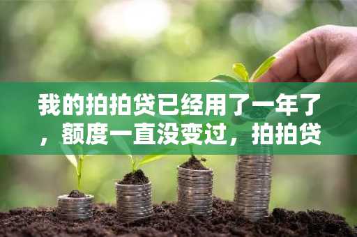 我的拍拍贷已经用了一年了，额度一直没变过，拍拍贷怎么才能提高额度？