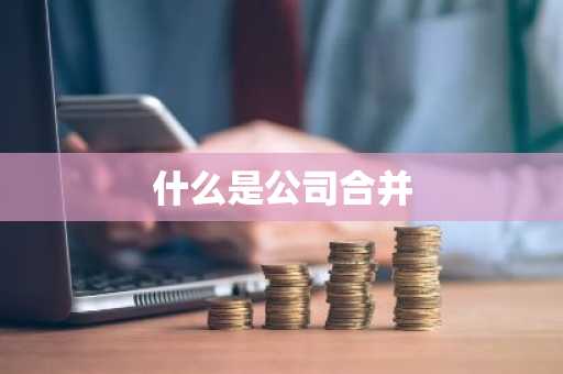 什么是公司合并