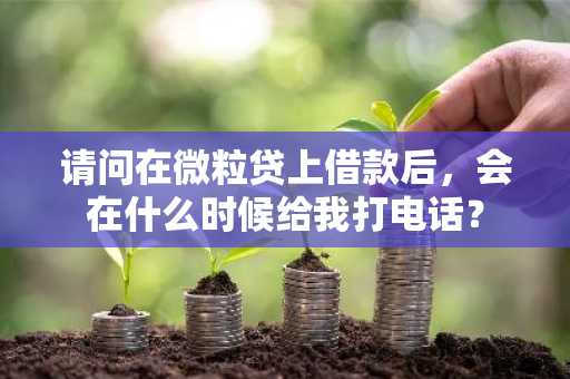 请问在微粒贷上借款后，会在什么时候给我打电话？