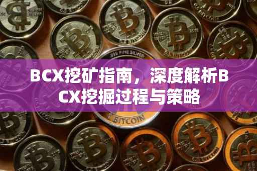 BCX挖矿指南，深度解析BCX挖掘过程与策略