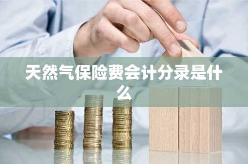 天然气保险费会计分录是什么