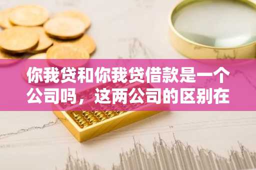 你我贷和你我贷借款是一个公司吗，这两公司的区别在哪里啊？