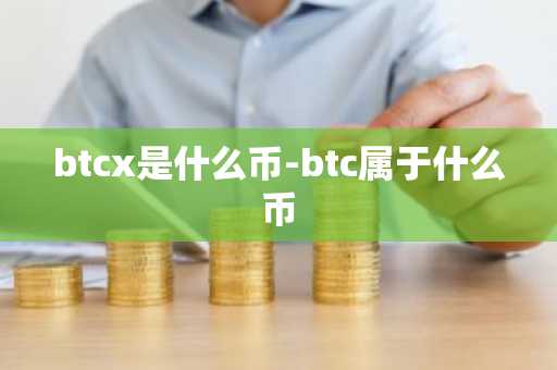 btcx是什么币-btc属于什么币