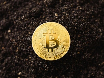 网友比特币**案件最新进展