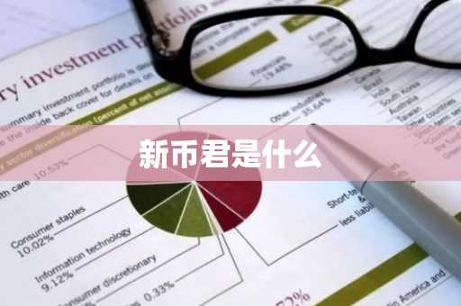 新币君是什么