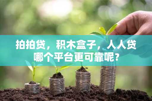 拍拍贷，积木盒子，人人贷哪个平台更可靠呢？