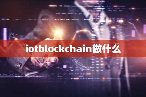 iotblockchain做什么