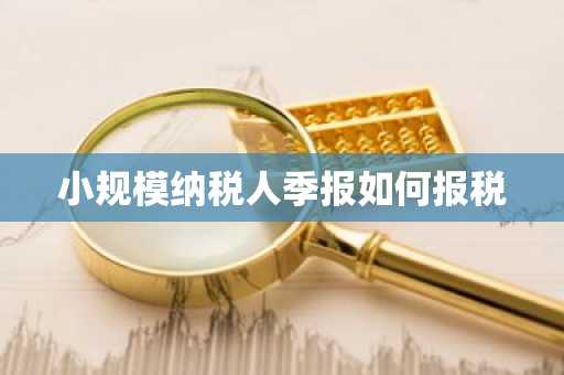 小规模纳税人季报如何报税