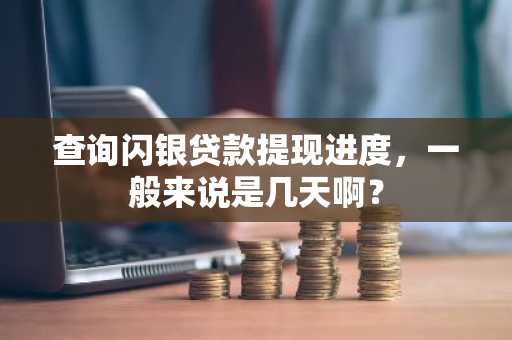 查询闪银贷款提现进度，一般来说是几天啊？