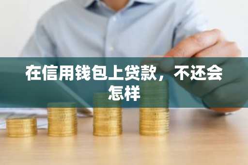 在信用钱包上贷款，不还会怎样