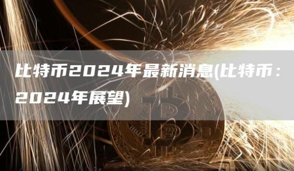 比特币2024年最新消息 - 比特币：2024年展望