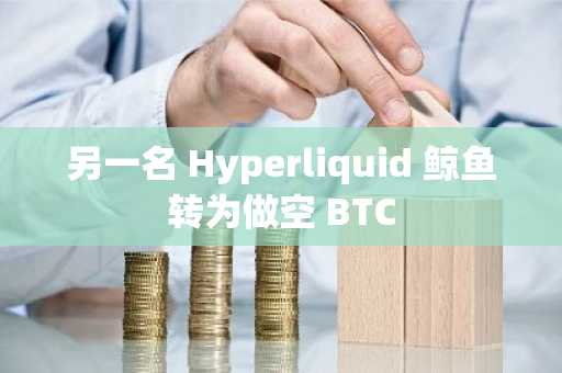 另一名 Hyperliquid 鲸鱼转为做空 BTC