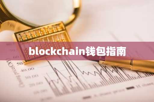 blockchain钱包指南