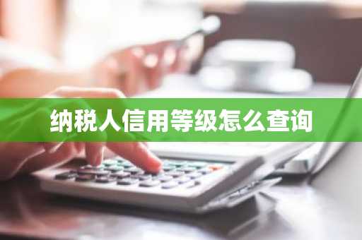 纳税人信用等级怎么查询